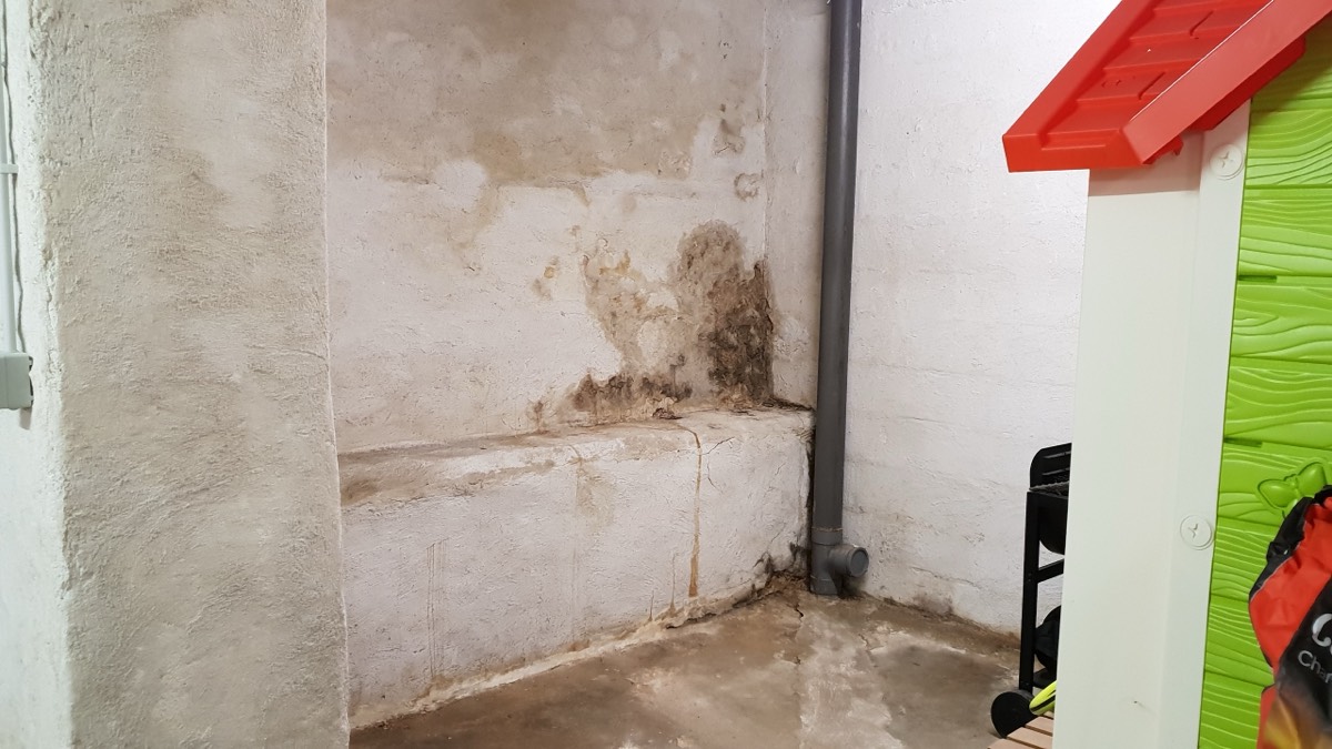 Infiltrations d'eau - Expertise humidité à Marseille